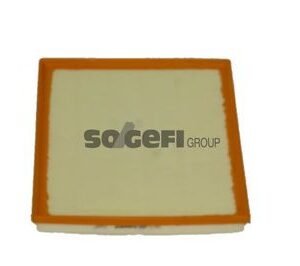 Filtre à air (A1562 - PURFLUX)