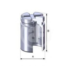 Piston, étrier de frein (D02526 - AUTOFREN SEINSA)
