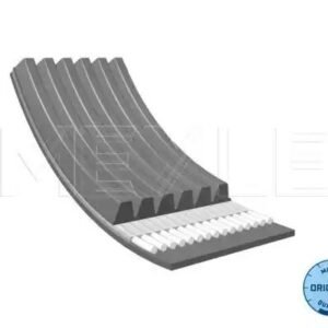 MEYLE 050 006 0900 Courroie trapézoïdale à nervures