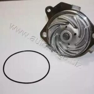 AUTOMEGA 160013210 Pompe à eau