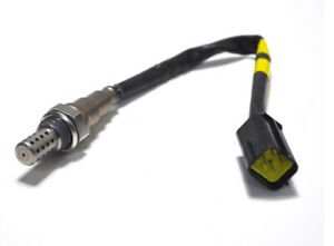 CHEVROLET 25182881 Sonde lambda