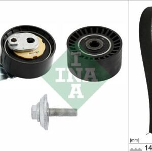 INA 530 0698 10 Kit de distribution