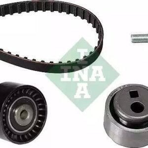 INA 530 0119 10 Kit de distribution