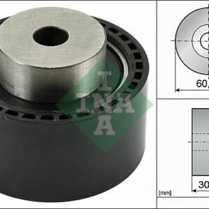 INA 532 0196 10 Poulie renvoi / transmission, courroie de distribution