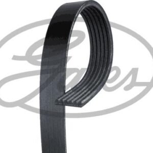 Gates 6PK1028 Courroie trapézoïdale à nervures