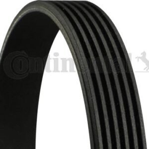 Contitech 6PK1600 Courroie trapézoïdale à nervures
