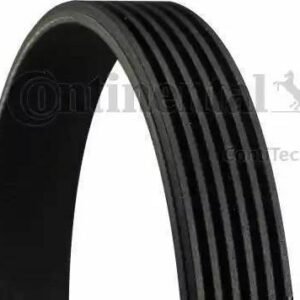 Continental 6PK1560 - Courroie trapézoïdale