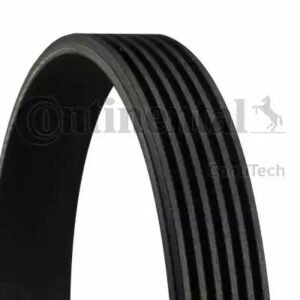 CONTITECH 6PK737 Courroie trapézoïdale à nervures