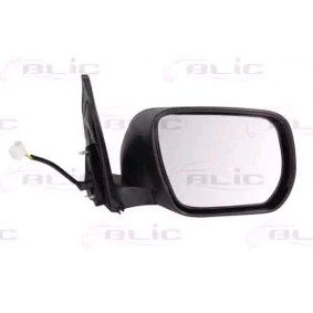 BLIC 5402-19-2002442P Rétroviseur extérieur