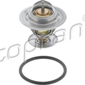 Topran 111 166 Thermostat d'eau