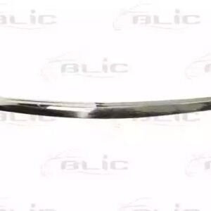 BLIC 6502-07-3475994P Baguette et bande protectrice, grille de radiateur