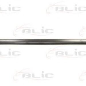 BLIC 6505-06-2092046P Marche-pied