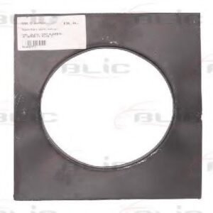 BLIC 6508-02-9590521P Aile