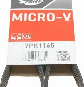 Gates 7PK1165 Courroie trapézoïdale à nervures