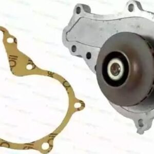 Thermotec D1P036TT Pompe à eau