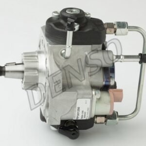 NPS DCRP301250 Pompe à injection
