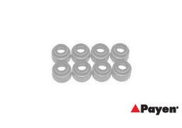 PAYEN HR791 Jeu de joints d'étanchéité, tige de soupape