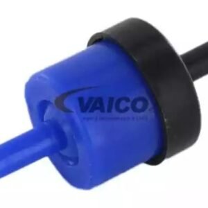 VAICO V10-9731 Soupape, pompe à vide