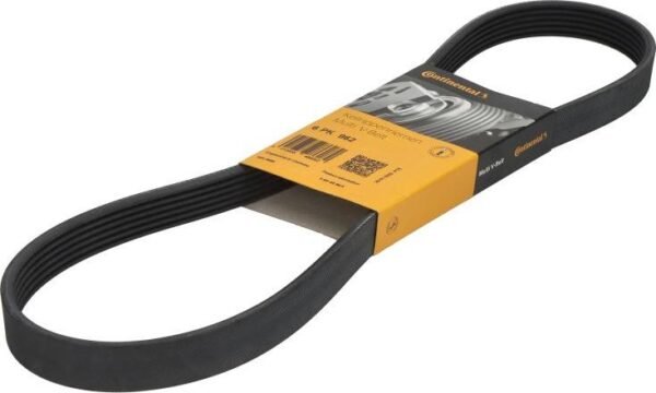 Contitech 6PK962 - Courroie trapézoïdale à nervures