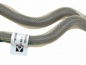 RENAULT 20.87.465.83R - Capteur, pression des gaz échappement