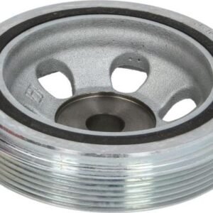 Dayco DPV1154 - Poulie, vilebrequin